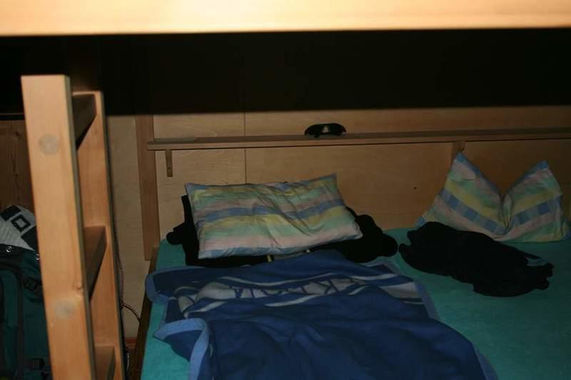 IMG 1929