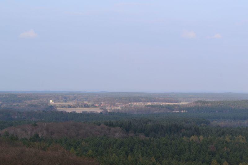DSC 1321