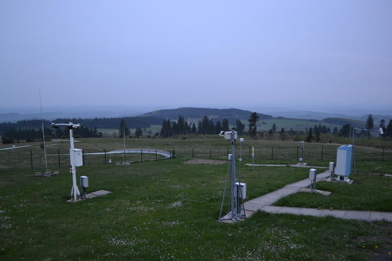 DSC 2345