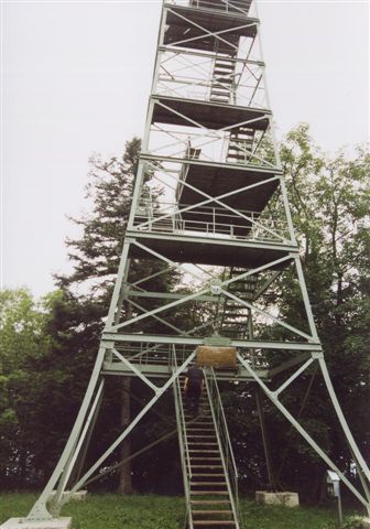 Lemberg001