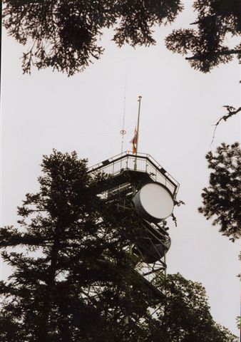 Lemberg10