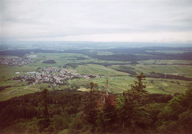 Lemberg25