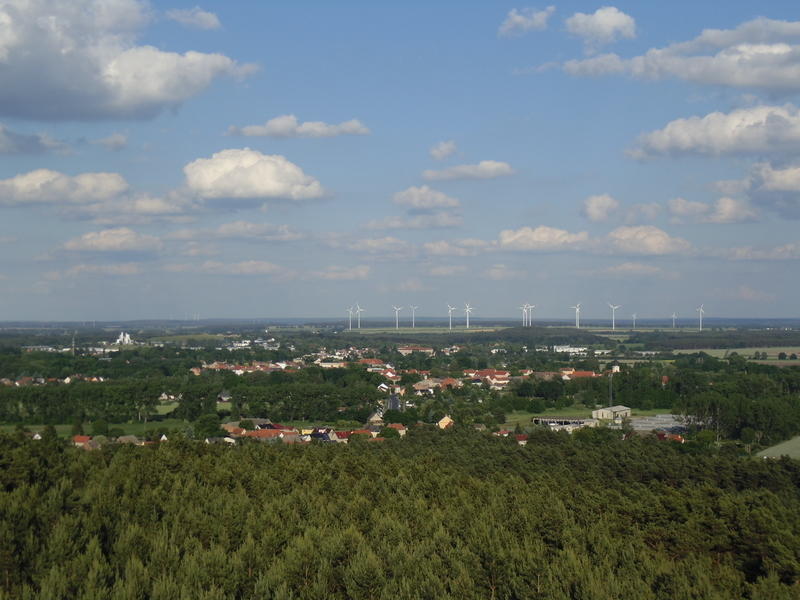 DSC00269