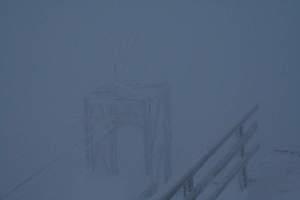 IMG 1969