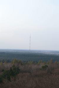 DSC 1323