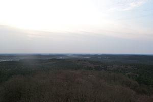 DSC 1338