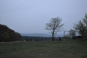 DSC 2338