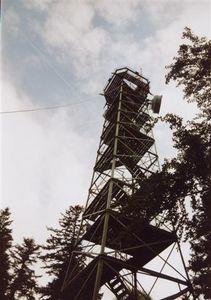 Lemberg11