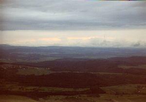 Lemberg24