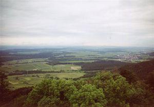 Lemberg26