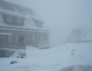 schnee