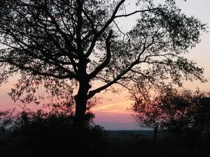 odo bei Belzig